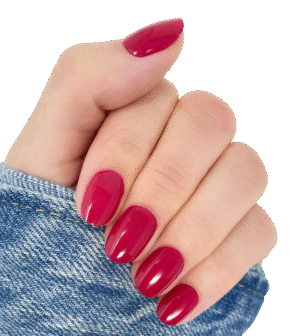 Bohemian Raspberry