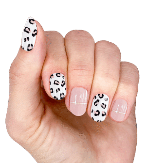 Cool Cats And Kittens