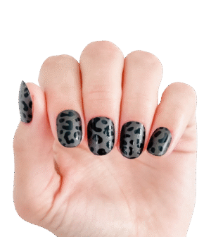 Leopard Is The New Black